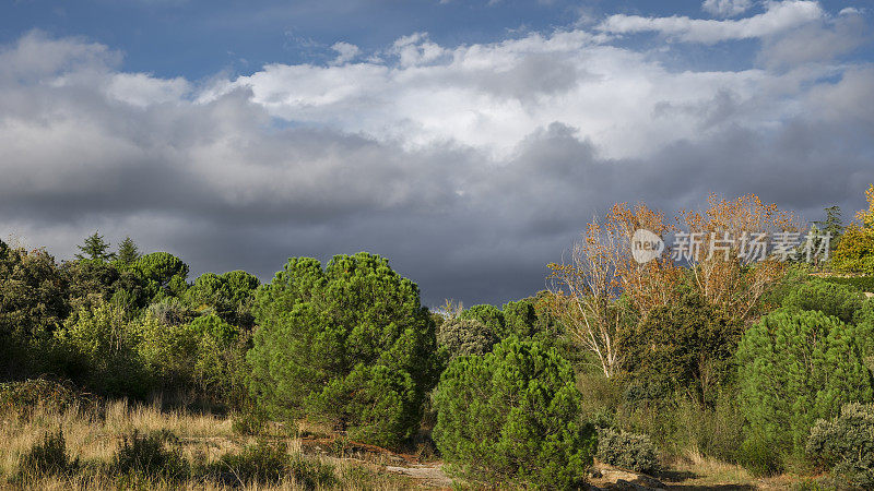 Atardecer en la sierra de Madrid, España